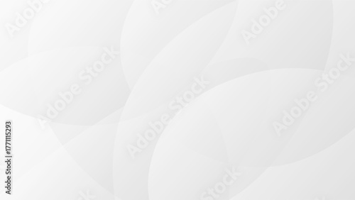 white background. luxury background. vector