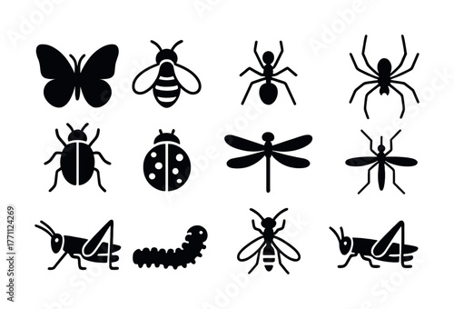 Silhouette collection of insects and arachnids: butterfly, bee, ant, spider, beetle, dragonfly, mosquito, ladybug, caterpillar