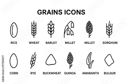 Grains icons: rice, wheat, barley, millet, sorghum, corn, rye, buckwheat, quinoa, amaranth, bulgur symbols