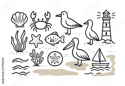 Coastal icons: seashells, lighthouse, birds, fish, and more