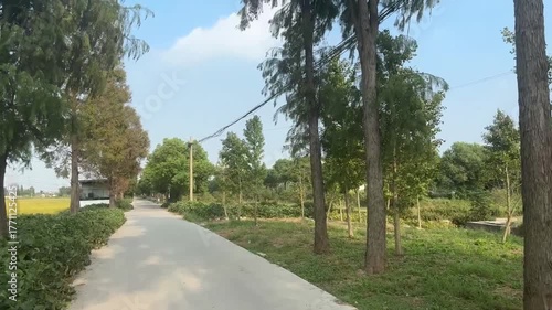 アジアの農村を進む緑に囲まれた田舎道の風景映像