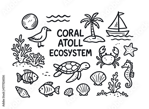 Coral atoll ecosystem featuring marine life and coastal elements