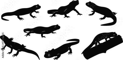 Silhouette salamanders walking, climbing, resting—black and white vector illustration of amphibians for nature, wildlife, forest animal concept