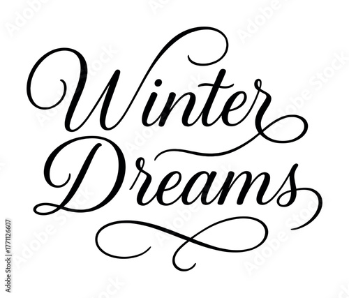 Elegant winter dreams calligraphy art with flourishes and swirls