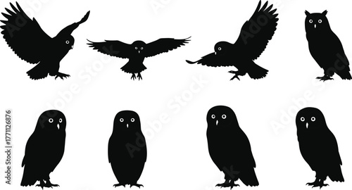 Silhouette owls flying, landing, standing—black and white vector illustration of nocturnal birds for nature, forest wildlife, anatomy concept