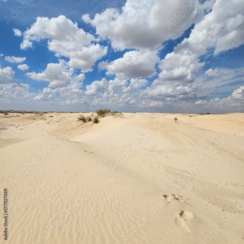 Cloudy sky over golden sand dunes at Monahans Sandhills State Park, Texas