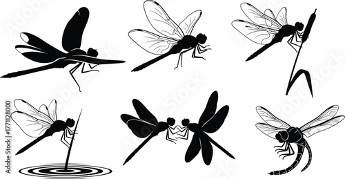 Silhouette dragonflies flying, perched on stems, interacting—black and white vector illustration for nature, insect anatomy, pond wildlife concept