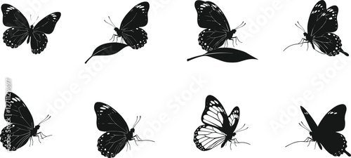 Silhouette butterflies flying, perched on leaves, open-wing poses—black and white vector illustration for nature, insect anatomy, garden wildlife concept