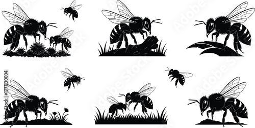 Silhouette bees flying, collecting nectar, standing on grass and leaves—black and white vector illustration for nature, pollinator, insect concept
