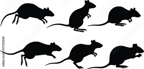 Silhouette rats in jumping, running, crouching, standing poses—black and white vector illustration for wildlife, rodent behavior, nature concept