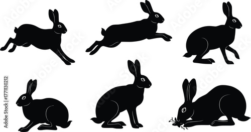 Silhouette rabbits leaping, running, sitting, crouching, feeding—black and white vector illustration for wildlife, nature, forest animal concept