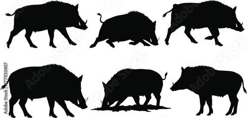 Silhouette wild boars in various poses, walking, sniffing, standing—black and white vector illustration for wildlife, nature, animal concept