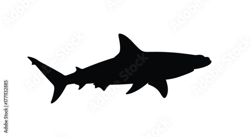 A striking black silhouette of a shark swimming gracefully in water