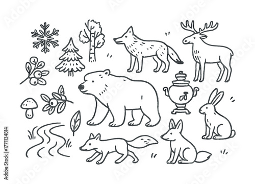 Hand-drawn woodland animals and nature elements illustration
