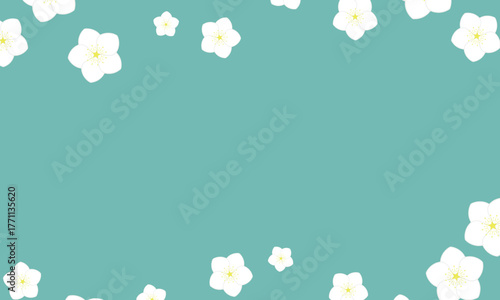 白いクリスマスローズの花が周りに散りばめられた緑のフレーム