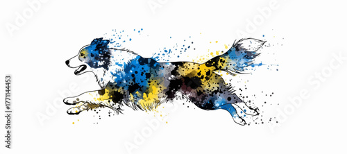 A modern artistic rendering of a running Border Collie, created with vibrant watercolor splashes. This dynamic illustration is a beautiful piece of pet art