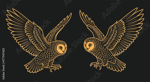 Two symmetrical golden owls in flight, depicted with intricate details in a vintage engraving style on a dark background.