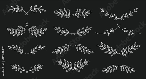 Collection of elegant hand-drawn white botanical branches, leaf laurels, and berry dividers perfect for decorative design elements on a black background.