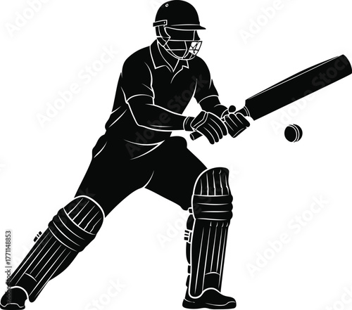 Silhouette of a cricketer batting during a match