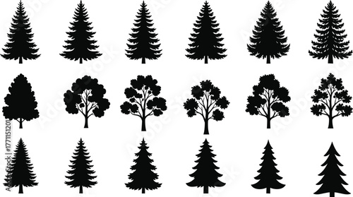Tree silhouette vector, coniferous and deciduous illustration, forest shape collection design, nature graphic art, cad drawing flat vector illustration