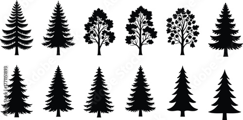 Tree silhouette vector, coniferous and deciduous illustration, forest foliage design elements, nature graphic art, cad drawing flat vector illustration