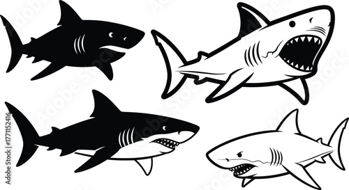 Shark vector illustration set predatory sea animal marine wildlife art