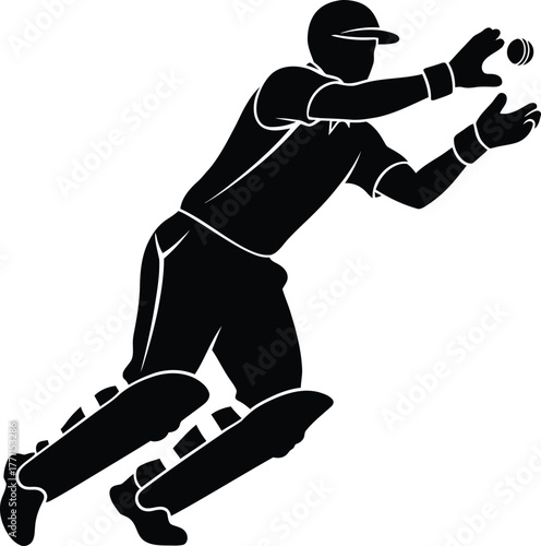 Silhouette of a cricket player catching a ball