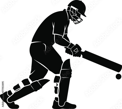 Silhouette of a cricketer batting in action