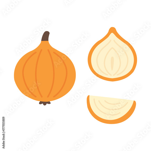 Whole and sliced onion showing layers, essential cooking ingredient.