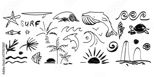 Hand drawn doodle collection of surf elements including waves palm trees whales dolphins turtles and sun