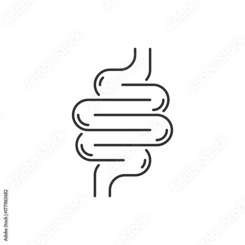 Intestine icon. Bowel symbol. Human anatomy, guts or intestinal tract vector illustration. Digestion sign. Abdominal gastric belly icon isolated.