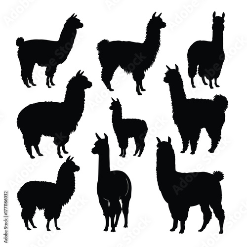 alpaca silhouette set black silhouette
