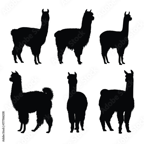 alpaca silhouette set black silhouette