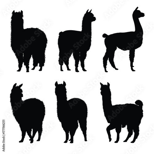 alpaca silhouette set black silhouette