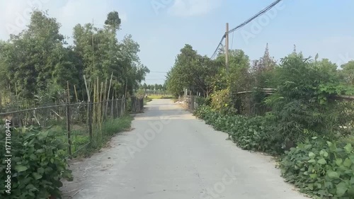 アジアの農村に続く緑に囲まれた静かな道