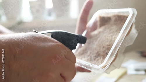 Closeup of misting soil with gentle spray, Controlled environment showing plant soil being lightly misted, Precise handheld sprayer gently applying moisture to plant soil in protected setting