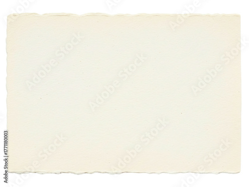 Blank handmade paper with a textured deckle edge border on a transparent background