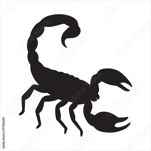 Silhouette scorpion in black detailed zodiac sign vector illustration