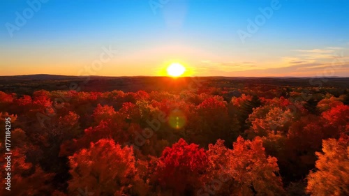 Drone flying forward over a vibrant autumn forest canopy with a golden sun orb setting on the horizon forest, scenic, leaves