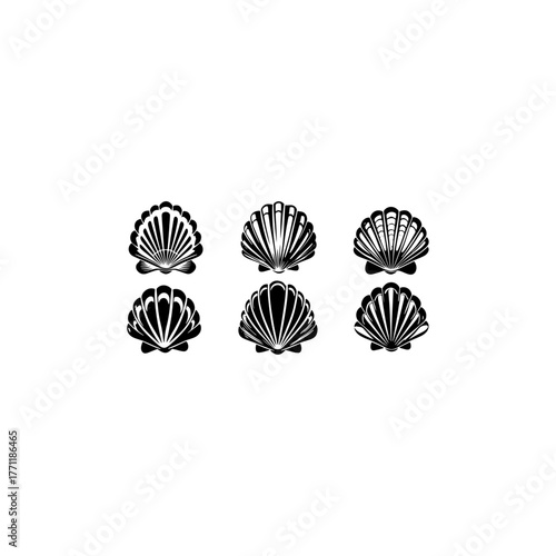 Sea shell icon. Set of pearl shell icons. Vector illustration. Shell vector icons.