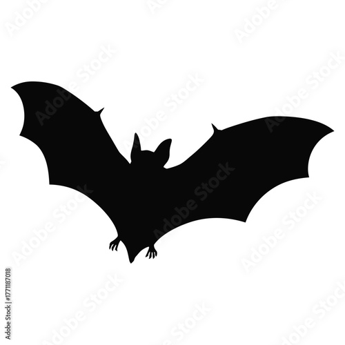 bat