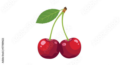 A vibrant illustration of two ripe red cherries with a green stem and leaf, isolated on a white background.