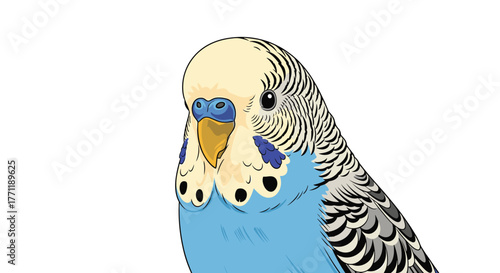 A charming cartoon illustration of a blue budgerigar, featuring its distinctive yellow beak, black eyes, and patterned feathers, on a white background.