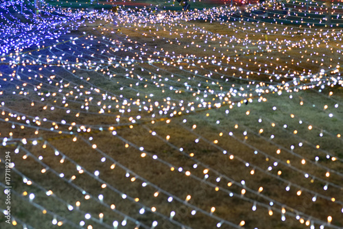 イルミネーション