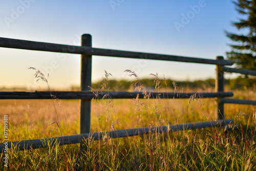 barbed wire fence