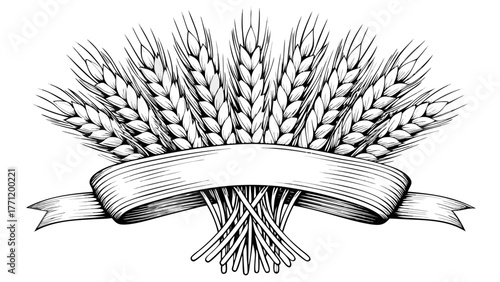 Elegant wheat illustration with ribbon banner, perfect for farm branding, organic food packaging, or rustic wedding invitations with customizable text space