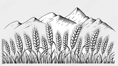 Serene wheat field illustration with majestic mountains, perfect for nature-inspired designs and rustic themes, ideal for agriculture projects and scenic art