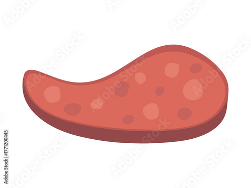 Sausage Slice Piece Meat Illustration
