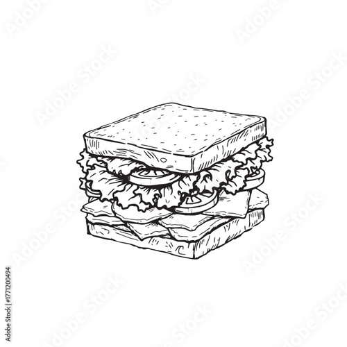 club sandwich line art delicious layered flavors