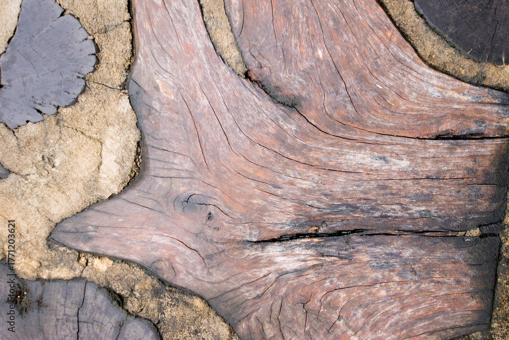 Obraz premium Wooden texture with natural patterns as a background, wood texture.